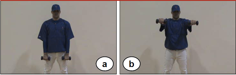 Anterior Raise exercise for pitchers image