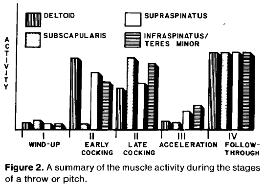 Baseball pitcher shoulder activity chart